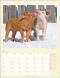 Schweinchen 2026, Produktbild 4