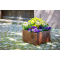 Blumenkasten „Saat des Lebens“, Produktbild 3