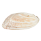 Perlmutt Muschel-Schale mit Perle, Produktbild 2
