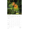 Beste Freunde Kalender 2022, Produktbild 4