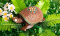 Zauberschildkröte, groß, Produktbild 2