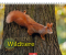 Heimische Wildtiere 2027, Produktbild 1