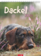 Dackel 2026, Produktbild 1