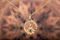 Kette „Lotus“, vergoldet, Produktbild 2