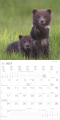 Tierbabys – Baby Animals 2027, Produktbild 4