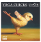 Yoga Chicks 2027, Produktbild 1