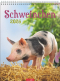 Schweinchen 2026, Produktbild 1