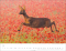 Heimische Wildtiere 2027, Produktbild 5