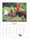 Der Hühnerkalender 2027, Produktbild 3