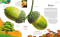 Große und kleine Schätze der Natur – Pflanzen, Produktbild 2